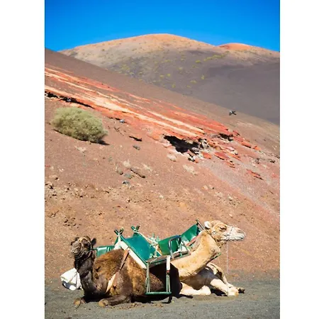 Apartament Jardines 2 Puerto del Carmen (Lanzarote)