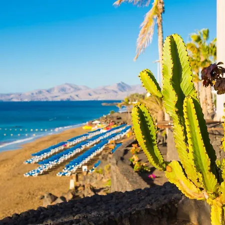 Jardines 2 * Puerto del Carmen (Lanzarote)