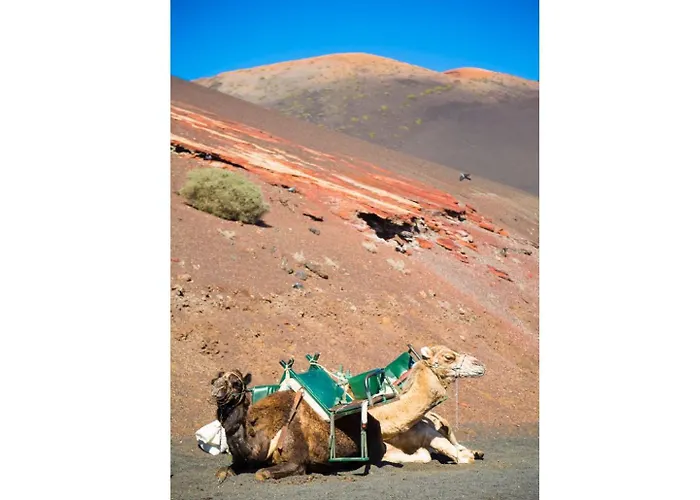 Apartman Jardines 2 Puerto del Carmen