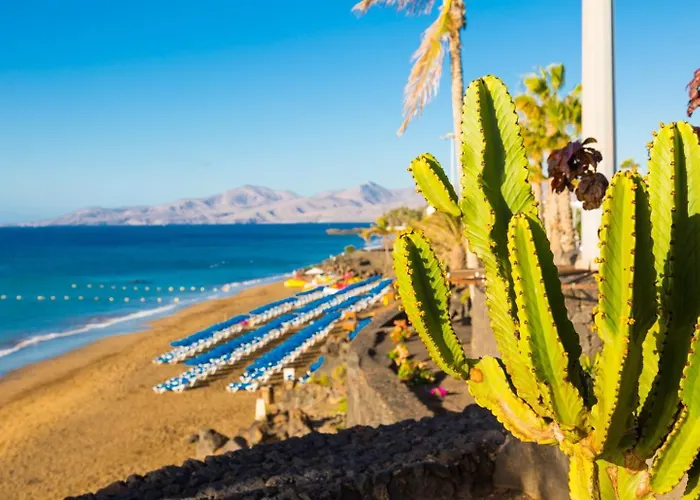 Jardines 2 * Puerto del Carmen (Lanzarote)